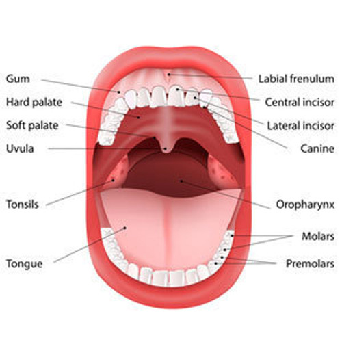 Ngáy ngủ mãn tính có thể gây ra nhiều vấn đề sức khỏe. Nếu không xảy ra biến chứng thì ngáy ngủ cũng gây phiền toái đến nhiều người xung quanh. Một nghiên cứu năm 2015 cho biết, một số bài tập về cơ lưỡi, miệng, họng có thể giảm tần số ngáy đến 365 và tổng công suất đến 59%.