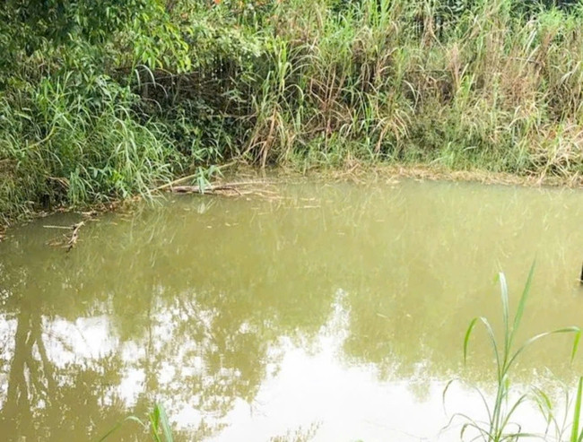 Rơi xuống ao nhà, cháu bé 2 tuổi đuối nước tử vong Roi xuong ao nha, chau be 2 tuoi duoi nuoc tu vong