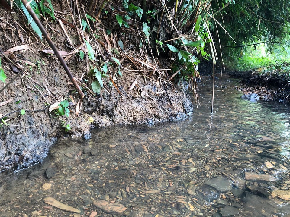 Hiện tại, toàn bộ số dầu đã được công nhân thu gom. Sở Tài nguyên và Môi trường tỉnh Hòa Bình cũng đã lấy mẫu nước để đi kiểm tra.