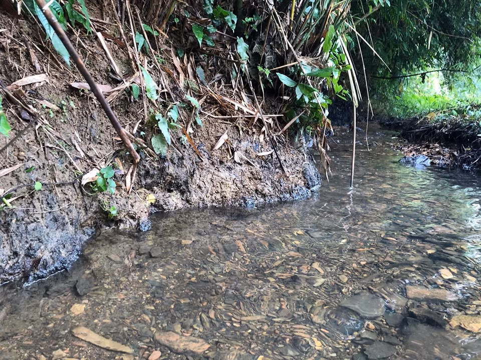 Hiện tại, toàn bộ số dầu đã được công nhân thu gom. Sở Tài nguyên và Môi trường tỉnh Hòa Bình cũng đã lấy mẫu nước để đi kiểm tra.