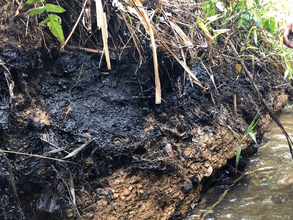 Như Kiến Thức đã đưa tin, sáng ngày 14/10, ông Hoàng Văn Thức - Phó Tổng cục trưởng Tổng cục Môi trường (Bộ Tài nguyên và Môi trường) cho biết, đã tìm ra nguyên nhân khiến nước từ nhà máy nước sạch Sông Đà (Viwasupco) cung cấp cho nhiều hộ dân tại Hà Nội có mùi lạ là do bị dính dầu. Báo cáo của Sở Tài nguyên và Môi trường tỉnh Hòa Bình cho biết, một con suối chảy qua xã Phú Minh (huyện Kỳ Sơn, Hòa Bình) xuất hiện rất nhiều dầu.