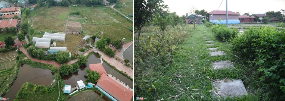 Con đường nội bộ nối chùa với biệt phủ cũng chia thành các nhánh nhỏ dẫn ra trang trại của sư Toàn. Hiện, UBND huyện Tam Đảo đã chỉ đạo xã Hợp Châu xác minh các mảnh đất và công trình của sư Toàn. Trước mắt, đây là những diện tích đất mua bán không thông qua chính quyền, chưa sang tên đổi chủ nên huyện đề xuất giao cho xã Hợp Châu quản lý.