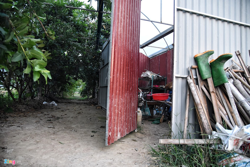 Trang trại có quy mô hàng nghìn mét vuông, được sư Toàn mua của người dân địa phương rồi tôn tạo lại. Các mảnh vườn đều được bố trí nằm tiếp giáp với chùa Nga Hoàng. Hàng năm ông thuê người dân trồng lúa và các loại cây ăn trái.