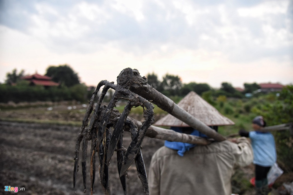 Dù dính bê bối gạ tình và vi phạm trật tự xây dựng, sư Toàn vẫn được nhiều người dân địa phương nể trọng. Ông được cho là người đã mở rộng chùa Nga Hoàng từ một gian thờ phật nhỏ thành một khuôn viên bề thế. Sư Toàn cũng trích một phần tiền công đức, cúng dường để mua quà tặng người già, trẻ nhỏ trong dịp lễ tết.
