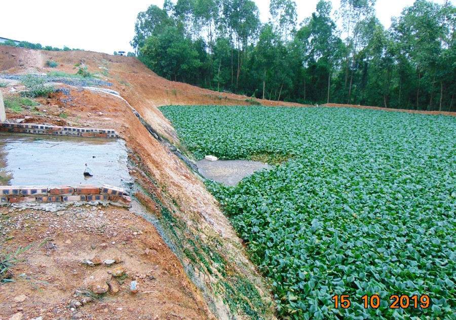 Tuy nhiên, trái ngược hoàn toàn với lời của hai vị trên, người dân địa phương cho biết, từ thời điểm Công ty TNHH MTV Gia cầm Hòa Phát Phú Thọ đi vào hoạt động (năm 2018), thì những hố phân gà đều được Công ty này để lộ thiên, phủ bạt sơ sài. Nhiều chất thải được đào hố rất sâu và chôn lấp, nước thì tràn xuống bên dưới một bể chứa được đào sâu, phủ bèo trên bề mặt, sau đó chảy thẳng ra hồ Ngả 2.