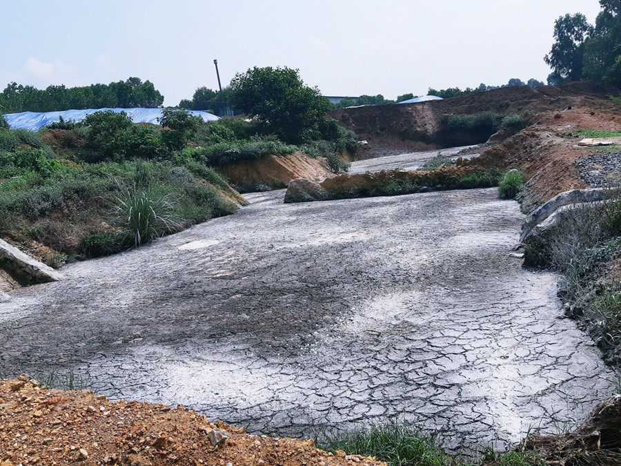 Gia cam Hoa Phat Phu Tho xa thai 