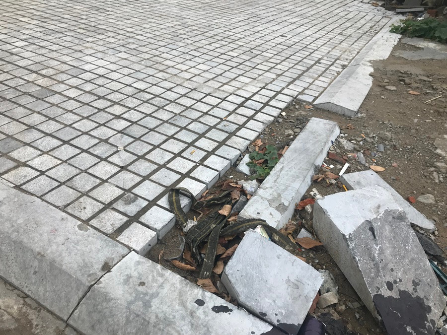 Theo tìm hiểu của Kiến Thức, dự án AZ Lâm Viên Complex được khởi công xây dựng tháng 12/2009, dự kiến hoàn thành quý IV/2012. Quy mô đầu tư xây dựng bao gồm: Tổng diện tích khu đất 1.954m2; diện tích xây dựng khoảng 1.155,6m2; tổng diện tích sàn xây dựng khoảng 28.782 (không kể tầng hầm); mật độ xây dựng khối đế 59,1% và khối cao tầng 48,4%; hệ số sử dụng đất 14,7 lần; tầng cao trung bình 29 tầng (không kể 2 tầng hầm). Tuy nhiên, sau khi khởi công, dự án chỉ thi công đến tầng 4, sau đó dừng thi công trong suốt 4 năm trời. Cuối năm 2013, đơn vị thi công là Công ty CP Vinaconex 1 đã rút toàn bộ máy móc khỏi công trường.