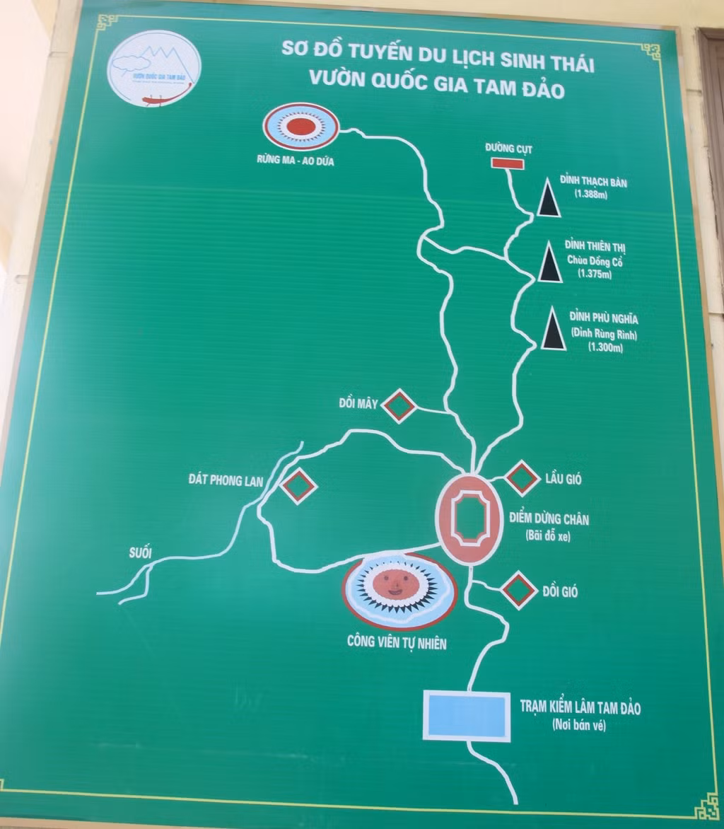 Điều đầu tiên bạn có thể cảm nhận được khi bước tới trạm dừng nghỉ là không khí vô cùng mát mẻ, mây mù bồng bềnh. Xung quanh có rất nhiều cây cổ thụ xanh mát quanh năm. Không gian tĩnh mịch, rất phù hợp cho việc nghỉ ngơi, thư thái và khám phá khu rừng.