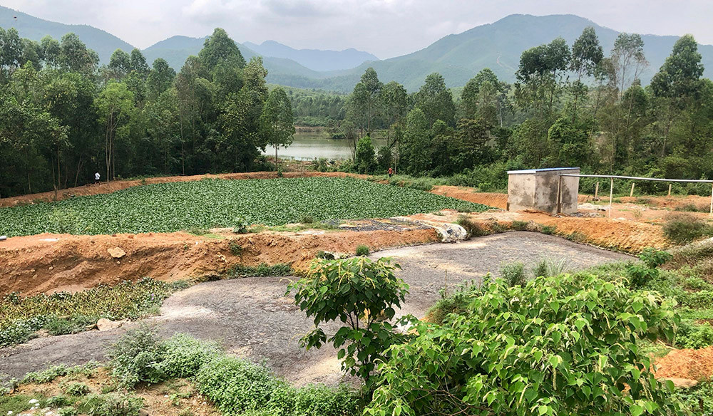 Cong ty gia cam Hoa Phat, Phu Tho xa thai gay o nhiem moi truong-Hinh-3