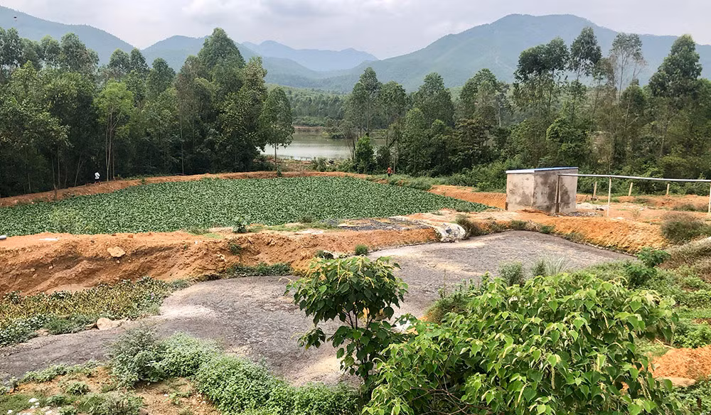 Cong ty gia cam Hoa Phat, Phu Tho xa thai gay o nhiem moi truong-Hinh-3