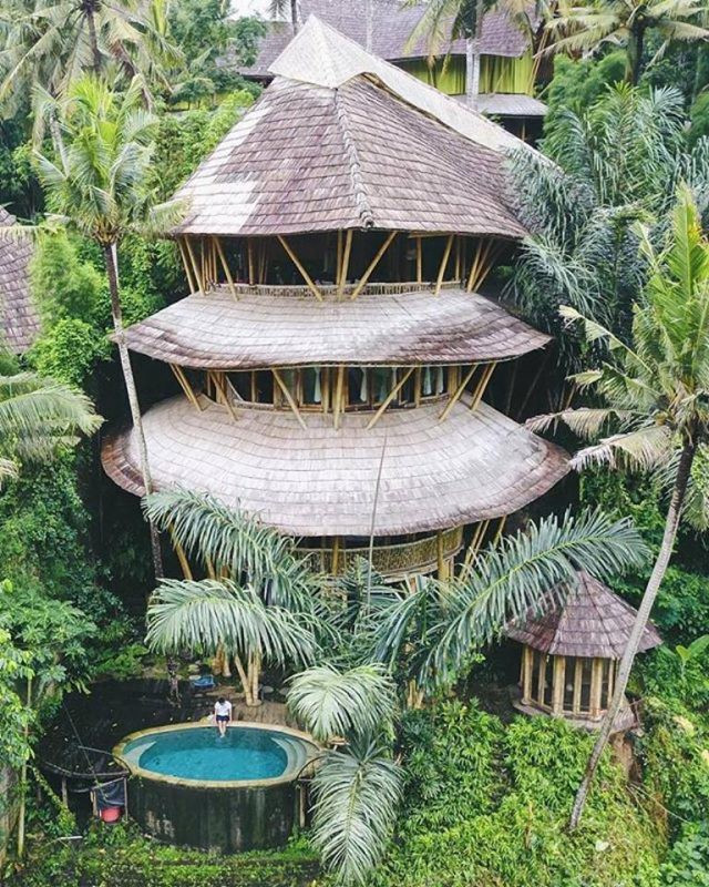 Tre có độ đàn hồi lớn, cứng và nhẹ, là vật liệu làm nhà rất lí tưởng.