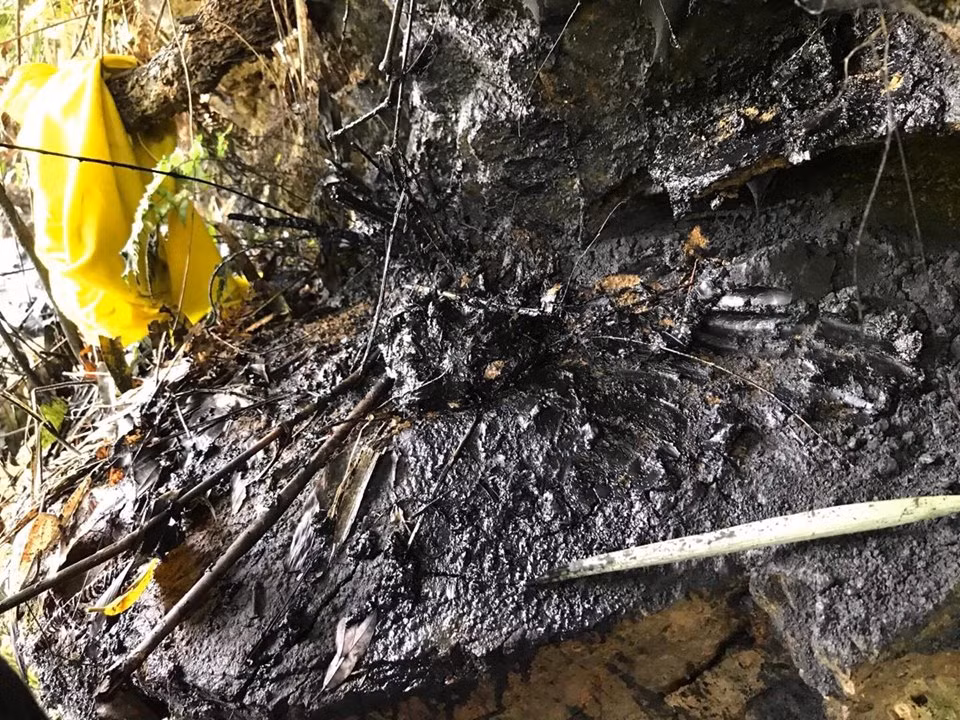 Khu vực đầu nguồn có rất nhiều dầu.