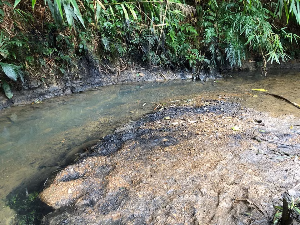 Cả 1 đoạn suối đầu nguồn bị ô nhiễm.