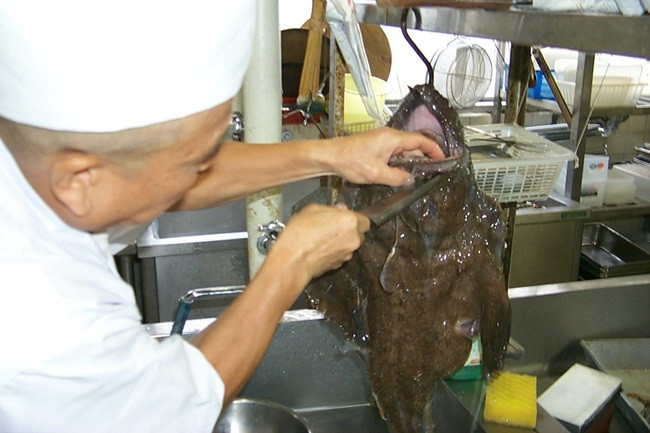 Cá này được tìm thấy ở biển Bắc, biển Địa Trung Hải, còn ở Nhật Bản có thể tìm thấy chúng ở vùng biển Thái Bình Dương quanh nước này.