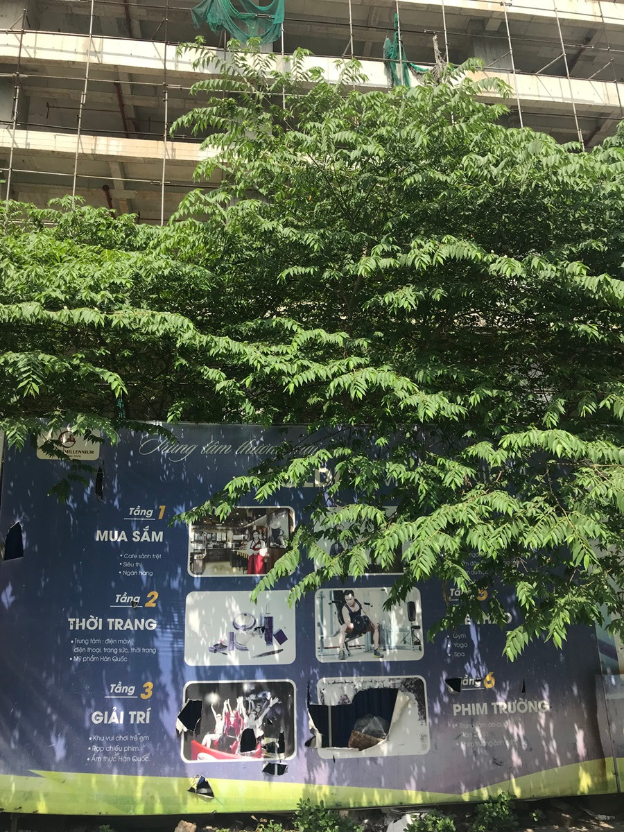 Dự án này được quảng cáo căn hộ 5 sao, nhưng nhìn vào những tấm biển quảng cáo rách nát tả tơi đặt phía trước dự án ai nấy cũng ngán ngẩm