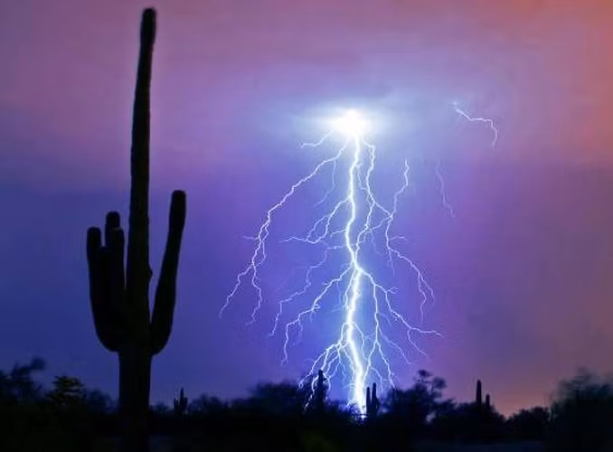 Hình ảnh những tia chớp này cũng "gai góc" không kém cây xương rồng.
