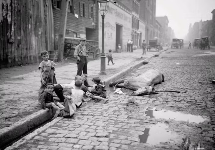 Một con ngựa nằm chết gục trên đường phố năm 1902 ở Mỹ.