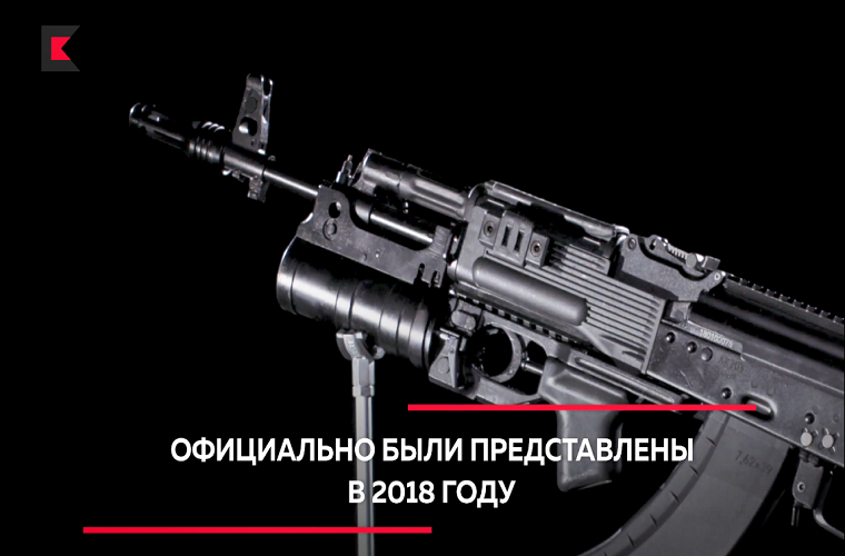 Súng trường tấn công AK-203 sử dụng đạn tiêu chuẩn 7.62x39mm tương tự như trên AK-47, súng có chiều dài cơ bản; 940mm khi mở báng và 705mm khi gấp báng; trọng lượng chiến đấu của súng (bao gồm cả hộp tiếp đạn 30 viên) là 4.1kg và có tốc độ bắn trung bình vào khoảng 600 viên/phút. Nguồn ảnh: Kalashnikov.