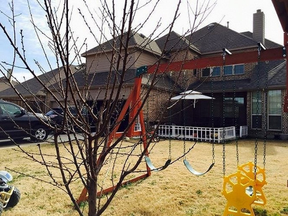 Vo chong Hong Ngoc xay ho boi 'khung' trong can biet thu moi tau tai My cho 3 con-Hinh-4