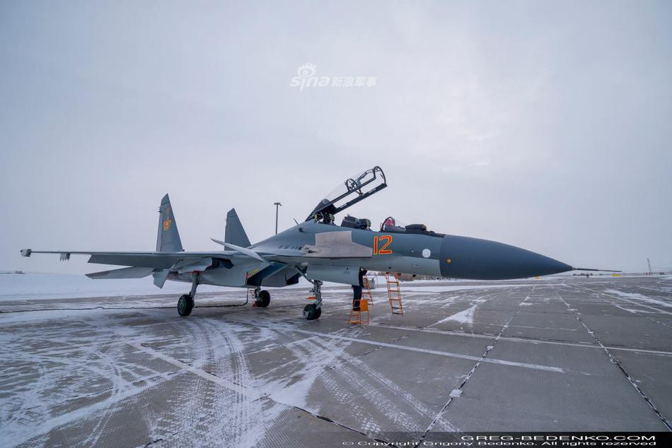 Tuy nhiên có thể thấy thông qua sự trục trặc của quá trình giao hàng thì khả năng cao không quân Belarus đã đề nghị "cấy ghép" các thành phần điện tử không phải do Nga sản xuất.
