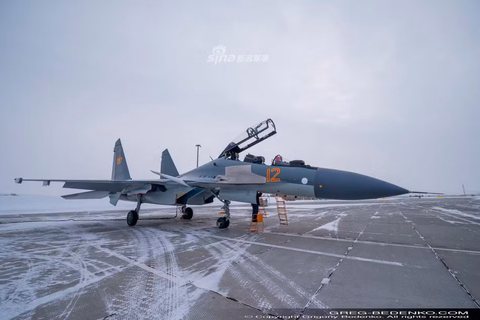 Tuy nhiên có thể thấy thông qua sự trục trặc của quá trình giao hàng thì khả năng cao không quân Belarus đã đề nghị "cấy ghép" các thành phần điện tử không phải do Nga sản xuất.