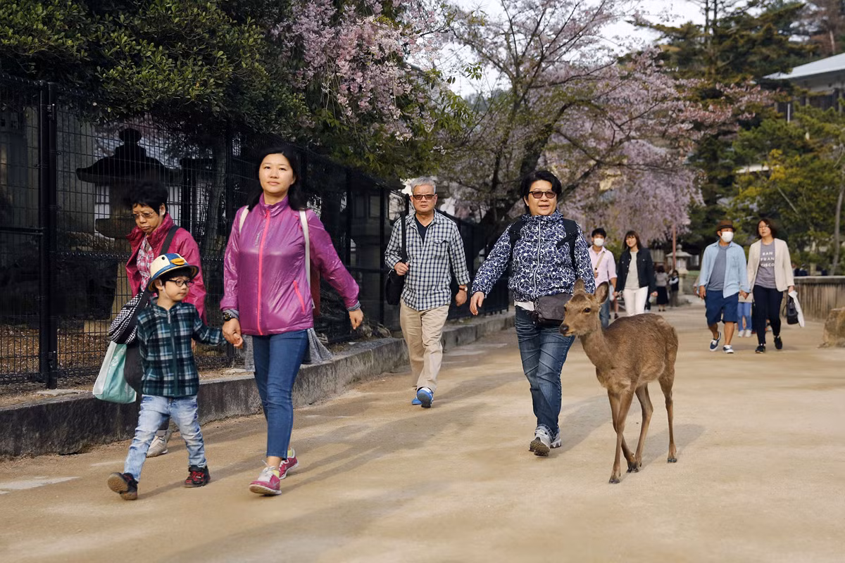 Khách du lịch rời đi sau khi các nhân viên bảo vệ yêu cầu nhằm đảm bảo an ninh trước khi ngoại trưởng các nước G7, trong đó có Ngoại trưởng Mỹ John Kerry ghé tới đền Itsukushima ngày 10/4/2016.