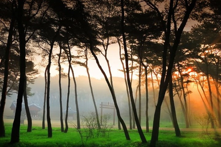 Ánh sáng huyền ảo ở khu lăng mộ của Vương hậu Jeongsun thời Triều đại Joseon (Triều Tiên) trong lịch sử Triều Tiên-Hàn Quốc.