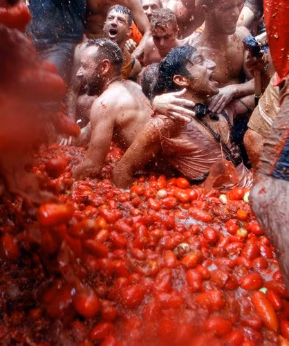 Hàng tấn cà chua được sử dụng trong cuộc chiến ném cà chua Tomatina.
