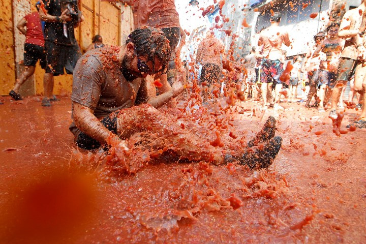 Một người tham gia lễ hội "tắm" trong cơn mưa cà chua tại lễ hội Tomatina ở Bunol, Tây Ban Nha ngày 29/8.