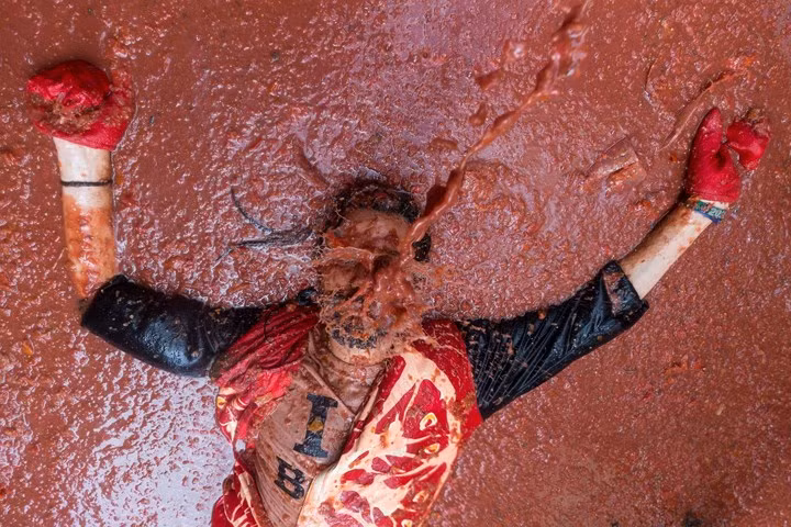 Nhung khoanh khac an tuong trong dai chien ca chua lon nhat the gioi