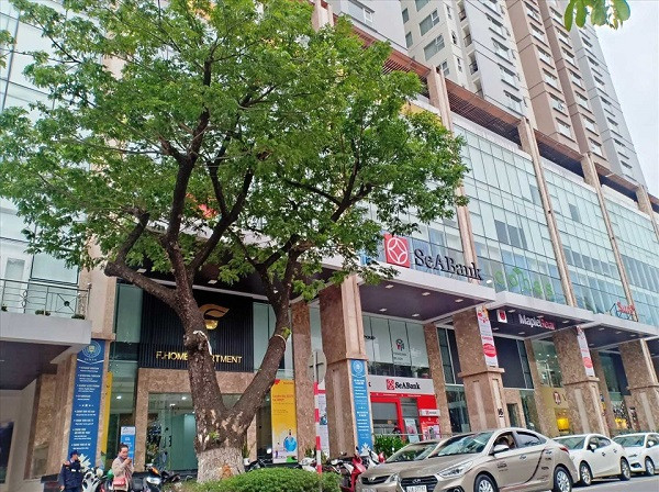 Vi sao 9 thua dat cua hai cong ty o Da Nang bi thanh tra?