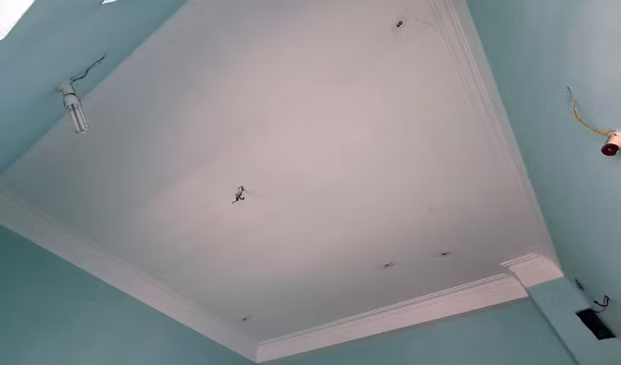 Bac Ninh: Nha cua bi lun nut, nguy co do sap vi cong trinh vi pham trat tu xay dung?-Hinh-10