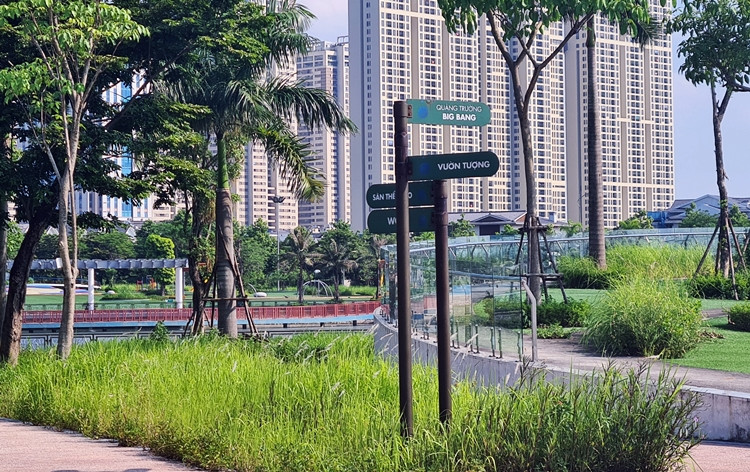 Cỏ dại không được cắt, tỉa, mọc um tùm khắp bên trong Công viên Thiên văn học của Tập đoàn Nam Cường.