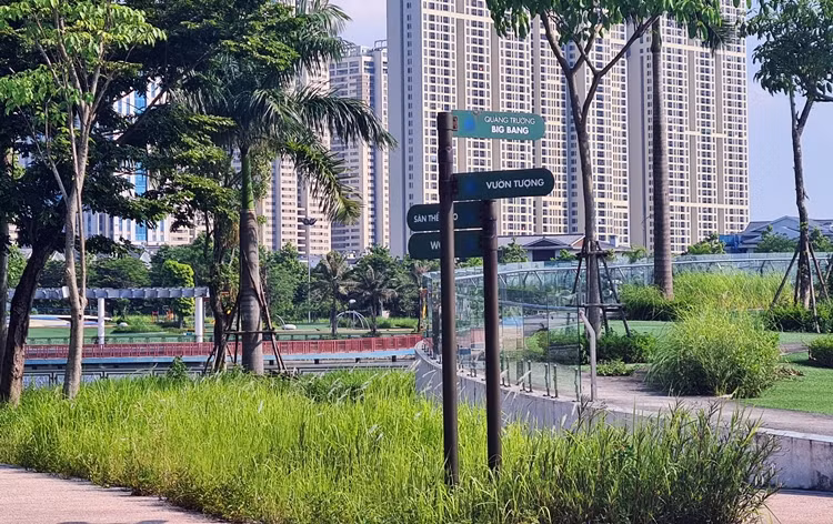 Cỏ dại không được cắt, tỉa, mọc um tùm khắp bên trong Công viên Thiên văn học của Tập đoàn Nam Cường.