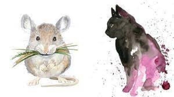 Thứ hai là không cho bất kỳ ai vay mượn tiền, dù là mối quan hệ thân thiết. Thứ ba là không được đầu tư hay thực hiện giao dịch lớn, kẻo mất trắng. 