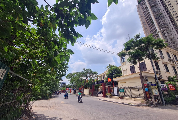 Tuyến đường này có chiều dài khoảng 830m. Quy mô mặt cắt ngang của đường được chia làm 2 đoạn. Cụ thể, đoạn 1 dài khoảng 635m; chiều rộng 30m. Đoạn 2 dài gần 200m; chiều rộng 30m 48m. Các nút giao của tuyến đường với đường Đỗ Đức Dục và đường Mễ Trì được tổ chức giao cùng mức.