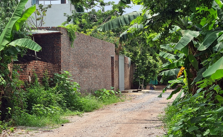 Tìm hiểu của phóng viên, việc các tổ chức, cá nhân tự ý tổ chức san lấp, sử dụng đất nằm trong mốc chỉ giới thoát lũ, hành lang an toàn bãi bồi sông Hồng (Bắc Cầu, Ngọc Thụy, Long Biên, Hà Nội) diễn ra rầm rộ nhất từ năm 2019 khiến người dân bức xúc.