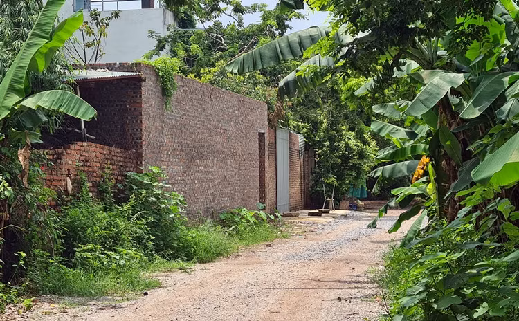 Tìm hiểu của phóng viên, việc các tổ chức, cá nhân tự ý tổ chức san lấp, sử dụng đất nằm trong mốc chỉ giới thoát lũ, hành lang an toàn bãi bồi sông Hồng (Bắc Cầu, Ngọc Thụy, Long Biên, Hà Nội) diễn ra rầm rộ nhất từ năm 2019 khiến người dân bức xúc.