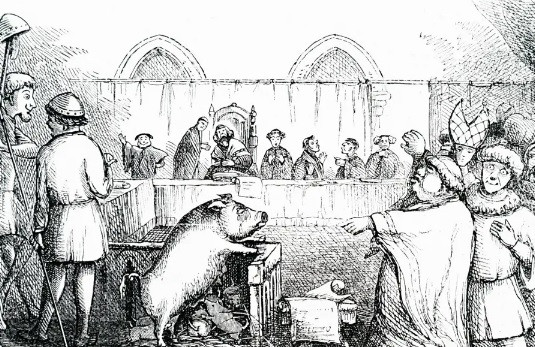 Một sự thật khó tin là động vật bị đưa ra xét xử ở châu Âu trong thế kỷ 18 vì một số tội danh như trộm cắp, giết người. Theo đó, nhiều con vật bị kết án tử hình.