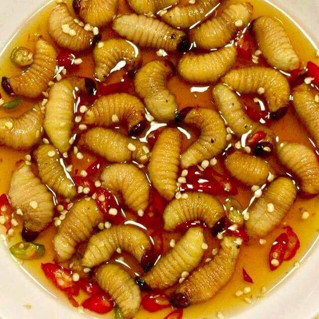 Ly do phi hanh gia NASA an duong dua tren vu tru?