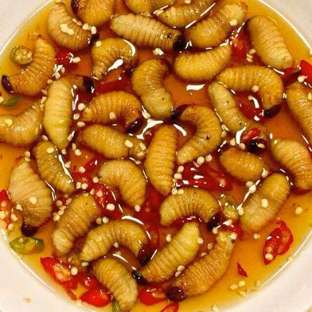 Ly do phi hanh gia NASA an duong dua tren vu tru?