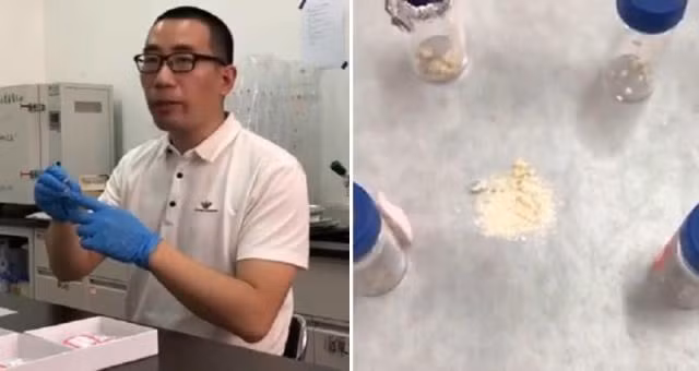 Mới đây, các nhà nghiên cứu thuộc Đại học Khoa học viện Trung Quốc (UCAS) và Học viện Khảo cổ Thiểm Tây công bố kết quả nghiên cứu đáng chú ý về chất bột cặn trong 6 lọ bằng đồng được khai quật từ ngôi mộ cổ trên.