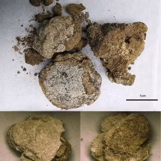 Theo các chuyên gia, việc sử dụng chì trắng thu được tự nhiên thông qua khai thác carbonate, cerussite đã có từ giữa thiên niên kỷ thứ 5 trước Công nguyên đến thiên niên kỷ thứ 2 trước Công nguyên ở miền Nam châu Âu, Ai Cập, Iran, Lưỡng Hà và Thung lũng Indus.