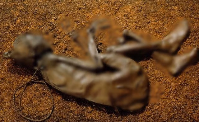 Năm 1950, xác ướp người đàn ông tên Tollund Man được một gia đình ở làng Tollund, Đan Mạch tìm thấy trong lúc đào tìm nhiên liệu trong đầm lầy. Thi hài được bảo quản nguyên vẹn nhờ đầm lầy than bùn. Theo đó, Tollund Man trở thành xác ướp tự nhiên nổi tiếng thế giới.