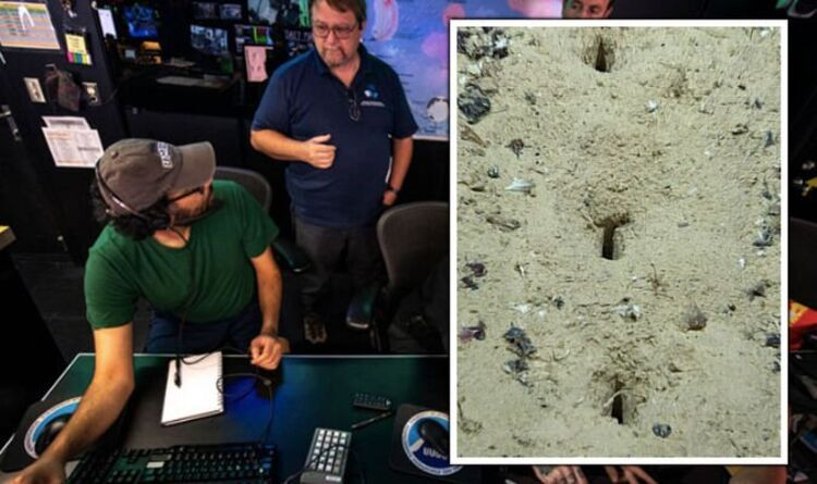 Trước đó, vào năm 2004, 2 nhà khoa học hàng hải thuộc Cơ quan Nghề cá Biển Quốc gia của Mỹ phát hiện ra những lỗ thủng bí ẩn dưới đáy đại dương trong một chuyến lặn biển.