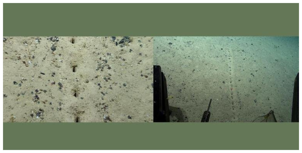 Trong khi các nhà khoa học đã và đang nỗ lực giải mã những bí ẩn về các lỗ thủng kỳ lạ trên, một giả thuyết cho rằng "thủ phạm" tạo ra chúng có thể chính là người ngoài hành tinh.