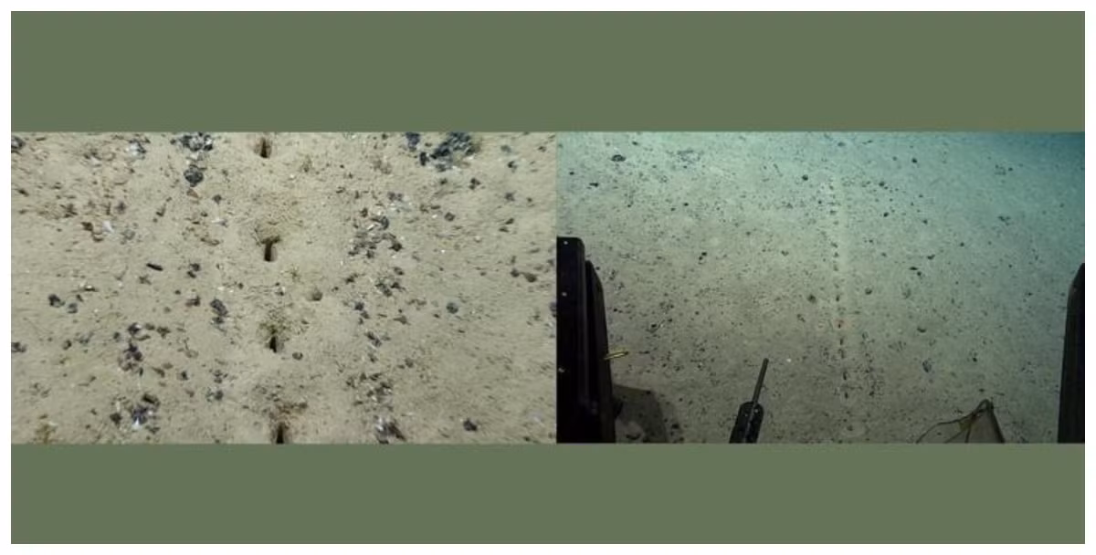 Trong khi các nhà khoa học đã và đang nỗ lực giải mã những bí ẩn về các lỗ thủng kỳ lạ trên, một giả thuyết cho rằng "thủ phạm" tạo ra chúng có thể chính là người ngoài hành tinh.