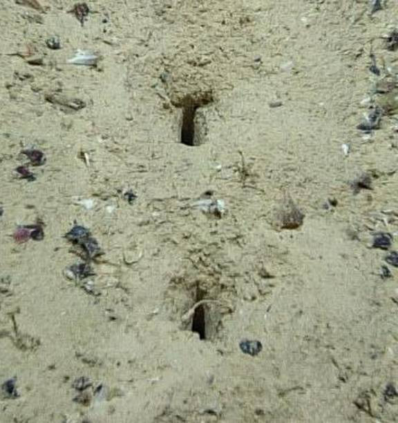 Đây không phải là lần đầu tiên người ta phát hiện ra các lỗ thủng trong khu vực Mid-Atlantic Ridge.