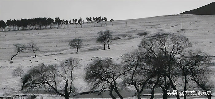 Điều này khiến nhiều tù nhân gần như kiệt sức khi tới được Ninh Cổ Tháp. Ngay cả khi tới được nơi lưu đày, cuộc sống khổ cực của tù nhân tiếp diễn và ngày càng tồi tệ hơn.