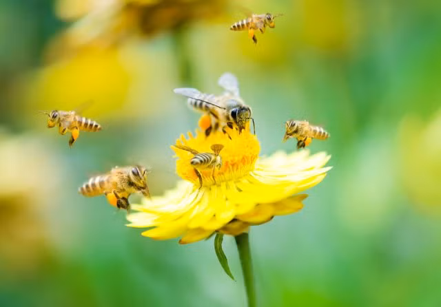 Video kho tin 2 chu ong hop suc mo chai nuoc ngot-Hinh-2